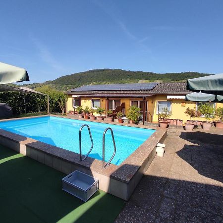 Moselferienweingut Schaefer Apartamento Wintrich Exterior foto