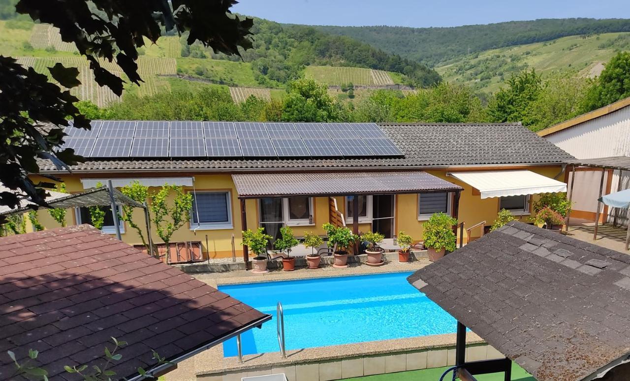 Moselferienweingut Schaefer Apartamento Wintrich Exterior foto