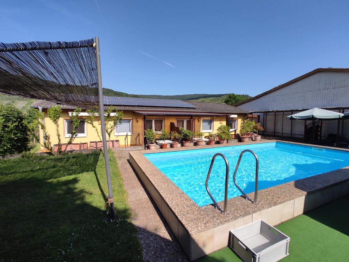 Moselferienweingut Schaefer Apartamento Wintrich Exterior foto