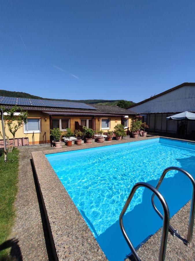 Moselferienweingut Schaefer Apartamento Wintrich Exterior foto