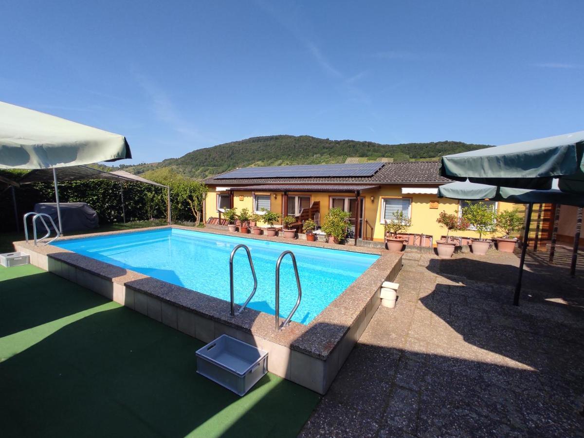 Moselferienweingut Schaefer Apartamento Wintrich Exterior foto