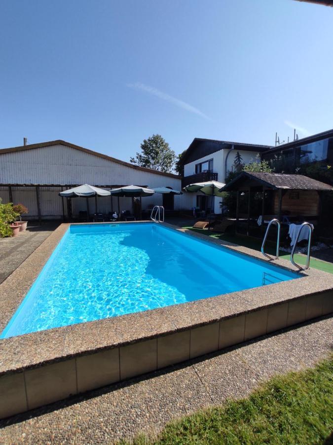 Moselferienweingut Schaefer Apartamento Wintrich Exterior foto