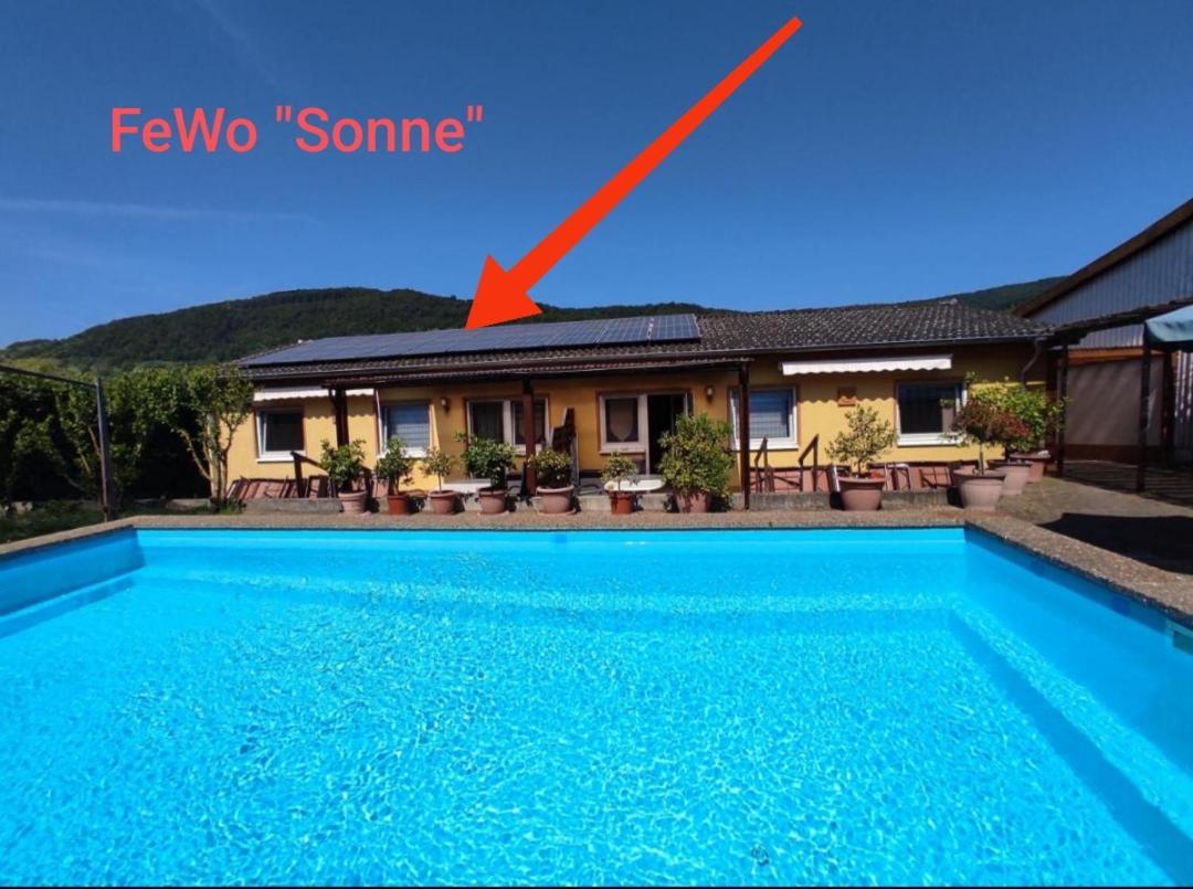 Moselferienweingut Schaefer Apartamento Wintrich Quarto foto